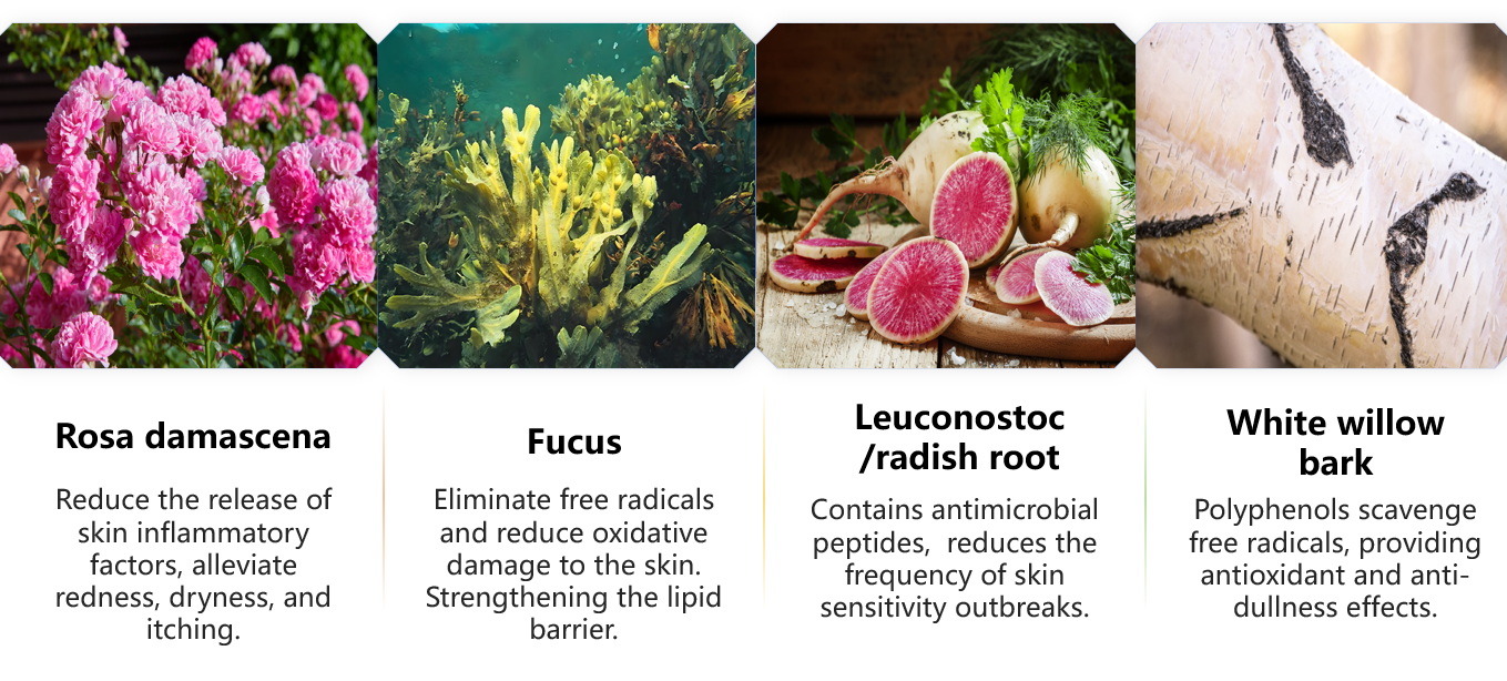 バランストナーミスト