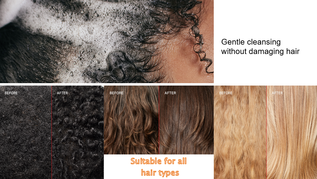 アミノ酸ジェントルシャンプーカスタム Amino Acid Gentle Shampoo Custom